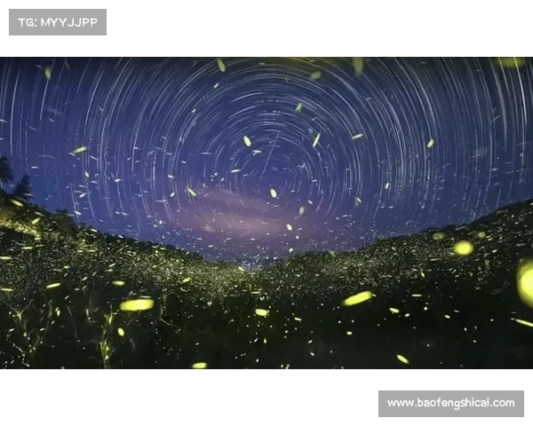 穿越荧光森林探寻灵魂的安宁与力量之源 穿越荧光森林探寻灵魂的安宁与力量之源