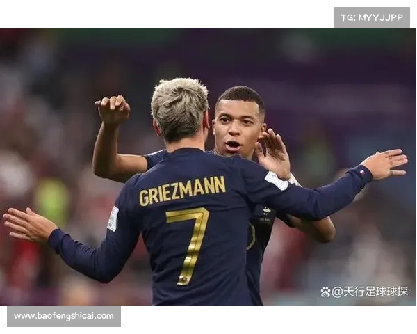 2023法国与波兰世界杯对决全方位战术分析与预测