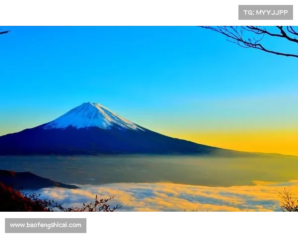 冬季转会窗口最佳球员引援推荐全解析与球队补强策略全面指南汇编