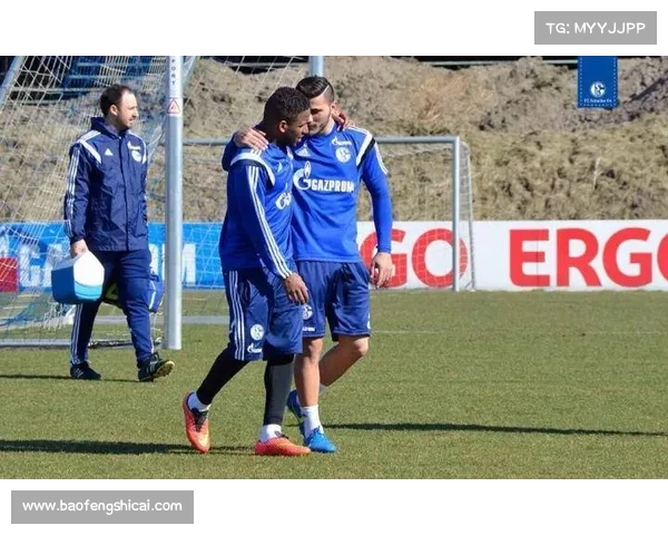 法尔范在沙尔克04的踢球风格分析与技术特点解读